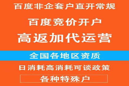 品牌信息流广告推广案例解析